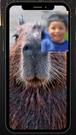 Capybara Funny Fake Call &chat Screenshot 3