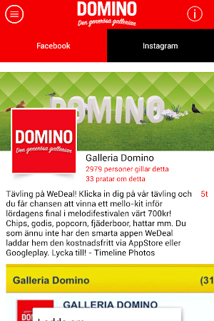 Galleria DOMINO Intern Screenshot 2