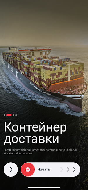 Havvo Express Screenshot 3