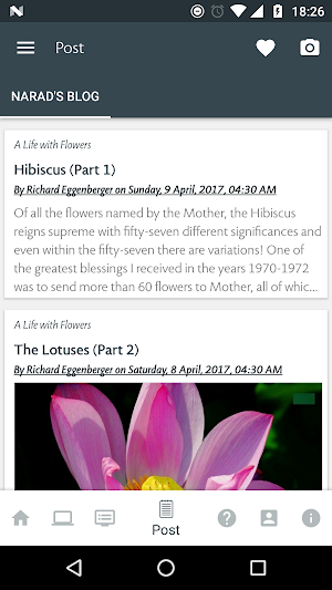 Flower Song Screenshot 3