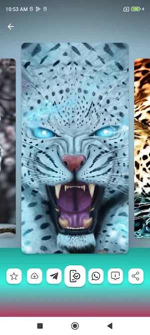 Leopard Wallpapers HD Screenshot 2