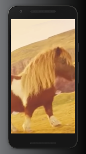 El Poni Salvaje Screenshot 1