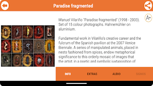 Museo Belas Artes da Coruña Screenshot 2