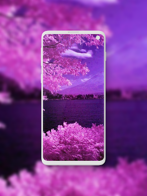 Purple Violet Wallpaper Screenshot 1