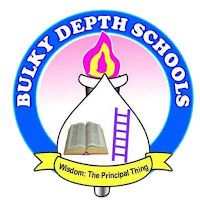 Bulky Depth Schools