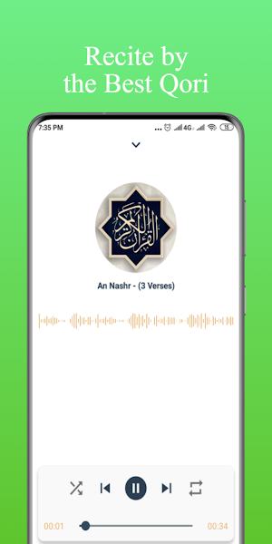 Murottal Mishary Rashid 30 Juz Screenshot 0