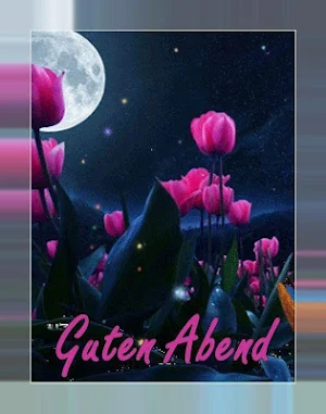 Guten Abend Gute Nacht Bilder für Whatsapp 2020 💗 Screenshot 1