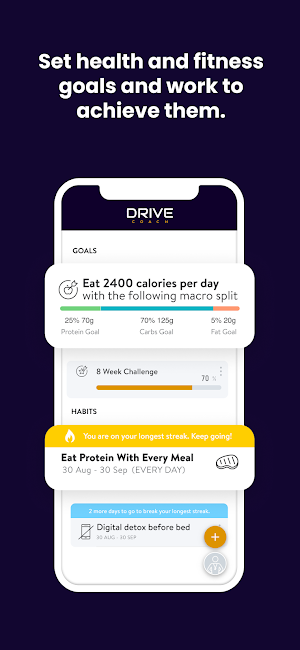 Drive Coach Online Screenshot 3