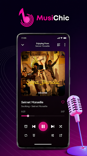 MusiChic Music HiFi Player Screenshot 1