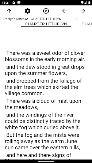 Book, Ethelyn's Mistake Screenshot 1