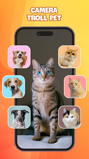 Pet Prank: Dog & Cat Fun Sound Screenshot 1