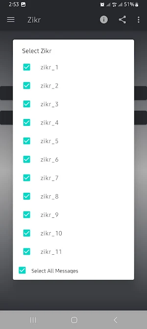 Islamic Zikr Screenshot 1