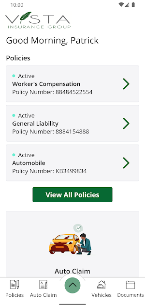 Vista Insurance Group Screenshot 1