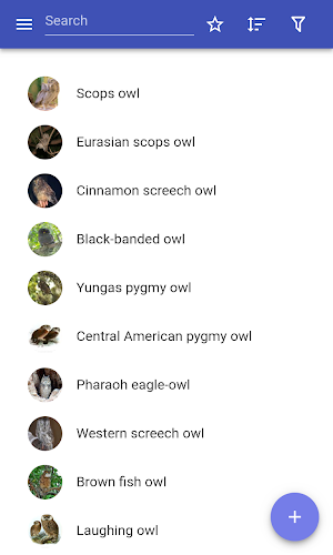 Owls Screenshot 0