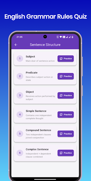 English Grammar Rules Quiz Screenshot 2