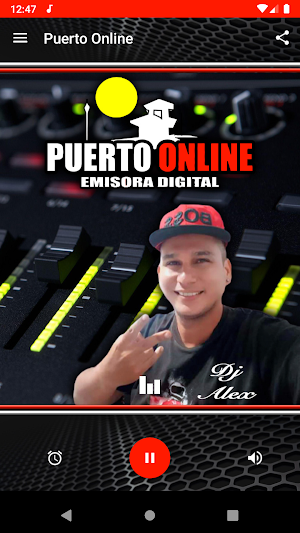 Puerto Online Screenshot 1