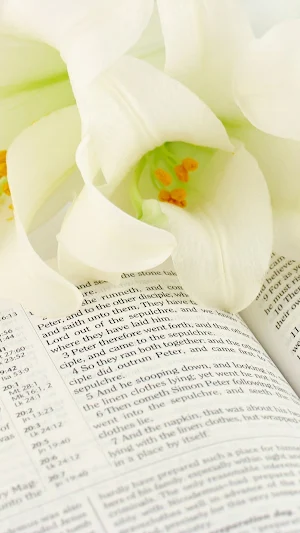 Easter Lily Wallpaper Screenshot 1