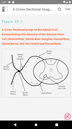 McLean EMG Guide Screenshot 3