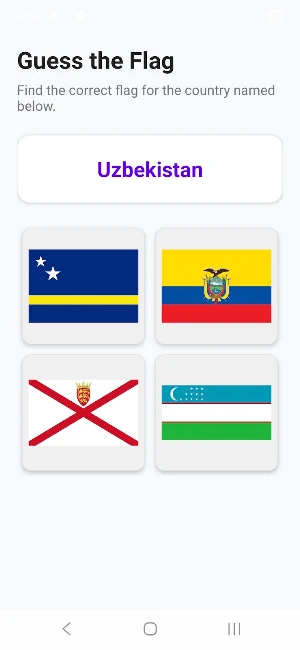 World Explorer: Flag Quiz Screenshot 3