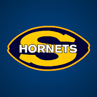 Saline Hornets Football