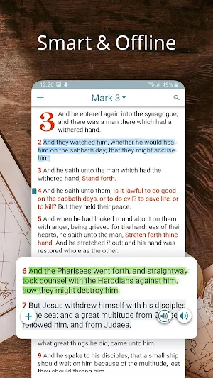 Holy Bible. New Testament Screenshot 0