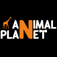 Animal Planet