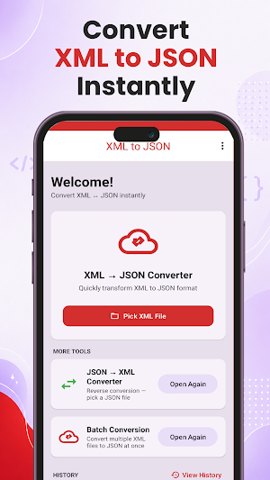 XML to JSON Data Converter Screenshot 0