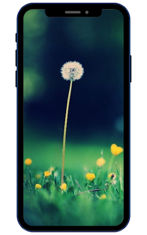 Dandelion Wallpaper Screenshot 3