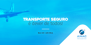 Voe Seguro - Consulta de Táxi-Aéreo Pirata Screenshot 2