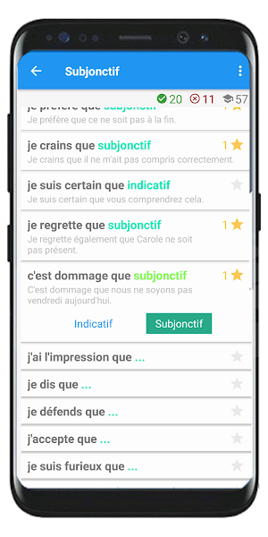 Subjonctif - Study French Grammar Free and Fast Screenshot 2