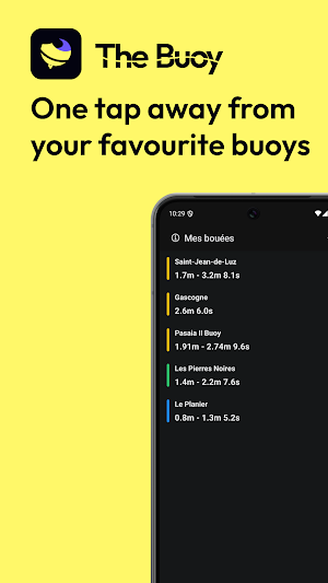 The Buoy Screenshot 0