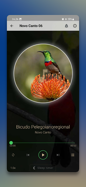 Novo Canto dos Pássaros Screenshot 2