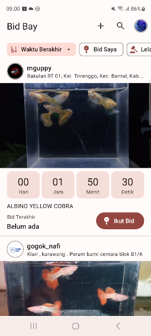 Bid Bay Screenshot 0