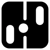The Pong