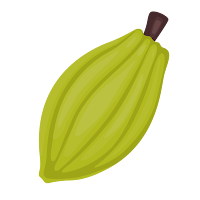 Cacao Móvil 2024