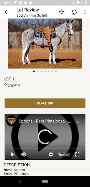Diamond Horse Sales Screenshot 2