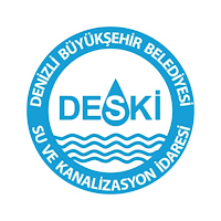 Deski Sürücümetre