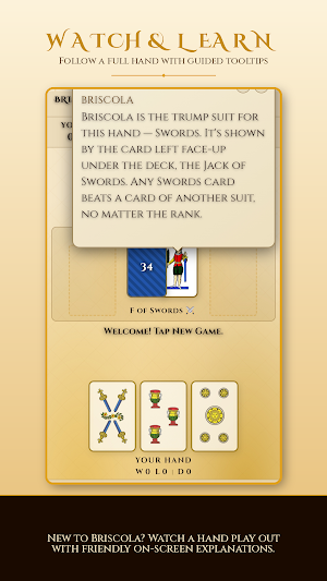 Briscola: Learn & Play Screenshot 1