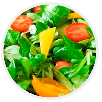Receitas para Emagrecer