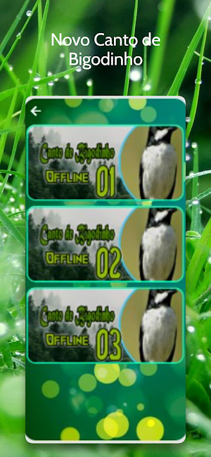 Novo Canto de Bigodinho Screenshot 3