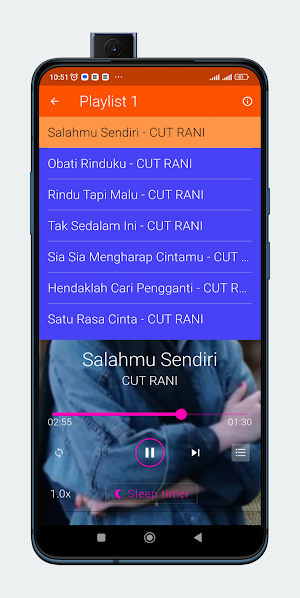 Salahmu Sendiri - Cut Rani Screenshot 2