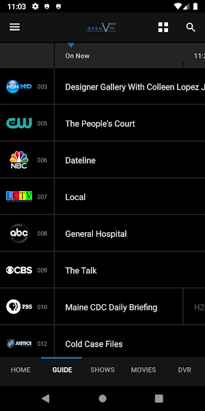 Open View TV Screenshot 1
