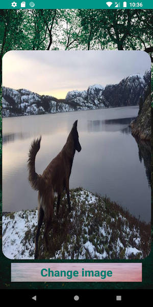 My Dogs: Unlimited DogPictures Screenshot 3