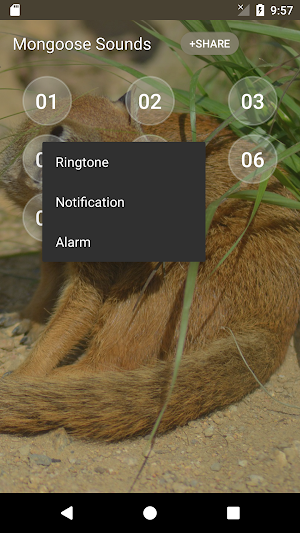 Mongoose Sounds Screenshot 2