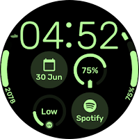 InfoGrid - Wear OS Watchface