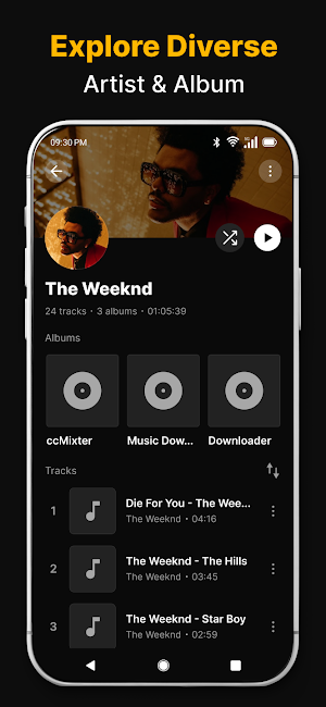 Download Music Mp3 Screenshot 3