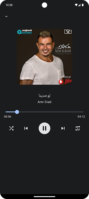عمرو دياب 2024 - بدون نت Screenshot 0
