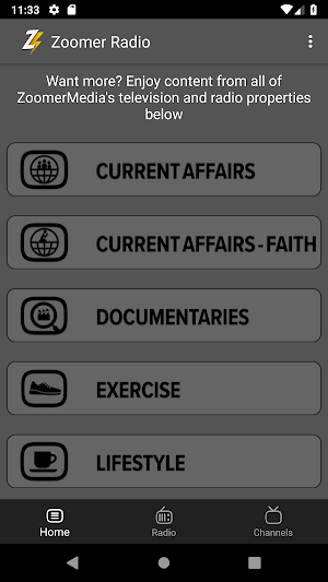 Zoomer Radio Screenshot 0
