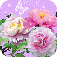 Pictures of Flowers App