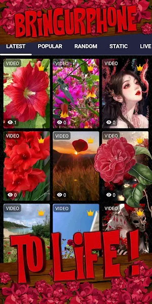 red flower wallpaper Screenshot 1